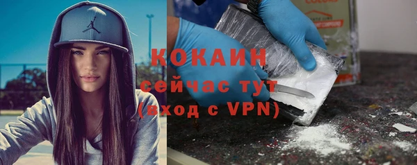 молекула духа Абинск